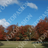 /album/fotopasion/a10-gif/