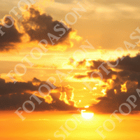 /album/fotopasion/a11-gif/